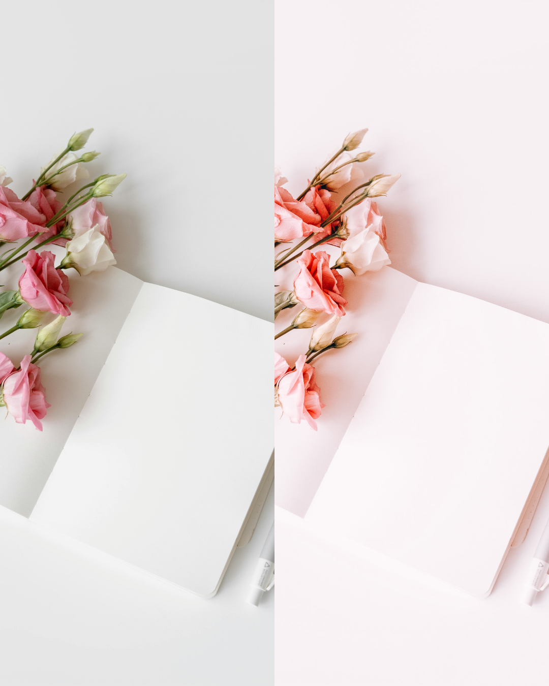 1.0 Nila Book Presets